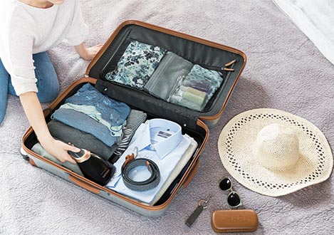 handheld stoomreiniger