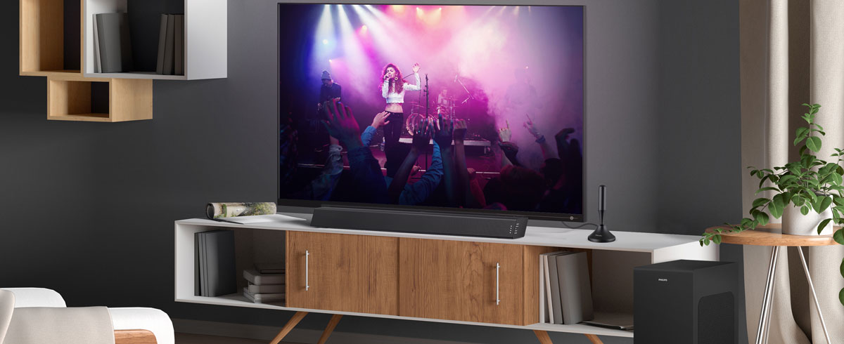 Een moderne woonkamer met een televisie gecombineerd met passende accessoires en stijlvol meubilair