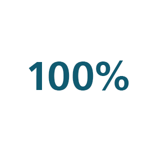 100% - pictogram