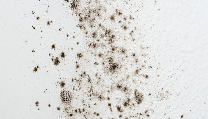 Allergenen in huis