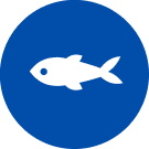 Pictogram voor vis